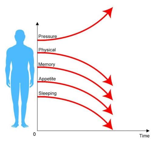 Acupuncture Massage Yoga Mat - Billede 4