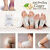 Ginger Detox Foot Pads (10 pcs)